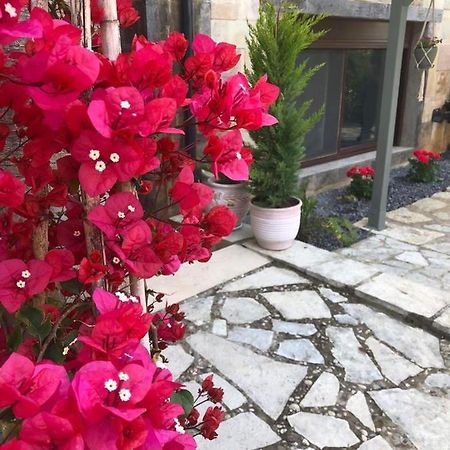 كالاماتا Paradise Apartments Nefeli المظهر الخارجي الصورة